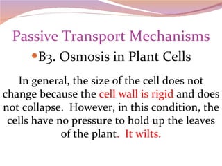 Passive Transport Mechanisms B3. Osmosis in Plant Cells In general, the size of the cell does not change because the  cell wall is rigid  and does not collapse.  However, in this condition, the cells have no pressure to hold up the leaves of the plant .  It wilts. 