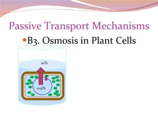 Passive Transport Mechanisms B3. Osmosis in Plant Cells 0.9% 10% 