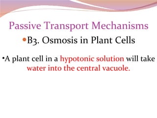 Passive Transport Mechanisms B3. Osmosis in Plant Cells A plant cell in a  hypotonic solution  will take  water into the central vacuole. 