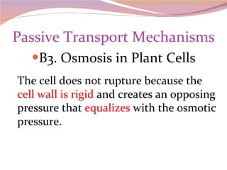 Passive Transport Mechanisms B3. Osmosis in Plant Cells The cell does not rupture because the  cell wall is rigid  and creates an opposing pressure that  equalizes  with the osmotic pressure. 