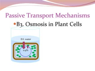 Passive Transport Mechanisms B3. Osmosis in Plant Cells 0.9% D.I. water 