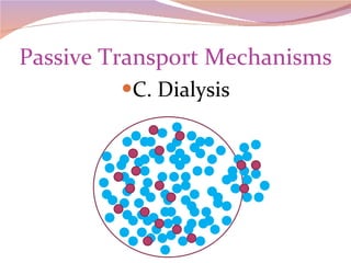 Passive Transport Mechanisms C. Dialysis 