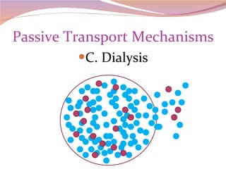 Passive Transport Mechanisms C. Dialysis 