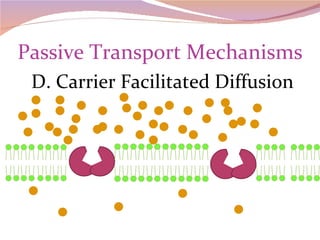 Passive Transport Mechanisms D. Carrier Facilitated Diffusion 