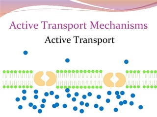 Active Transport Mechanisms Active Transport 