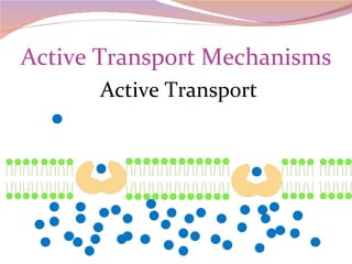Active Transport Mechanisms Active Transport 