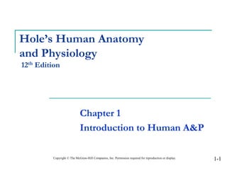 Hole’s Human Anatomy
and Physiology
12th Edition
Chapter 1
Introduction to Human A&P
Copyright © The McGraw-Hill Companies, Inc. Permission required for reproduction or display. 1-1
 