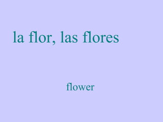 la flor, las flores

         flower
 