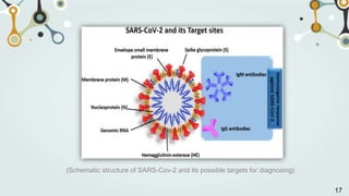(Schematic structure of SARS-Cov-2 and its possible targets for diagnosing)
17
 