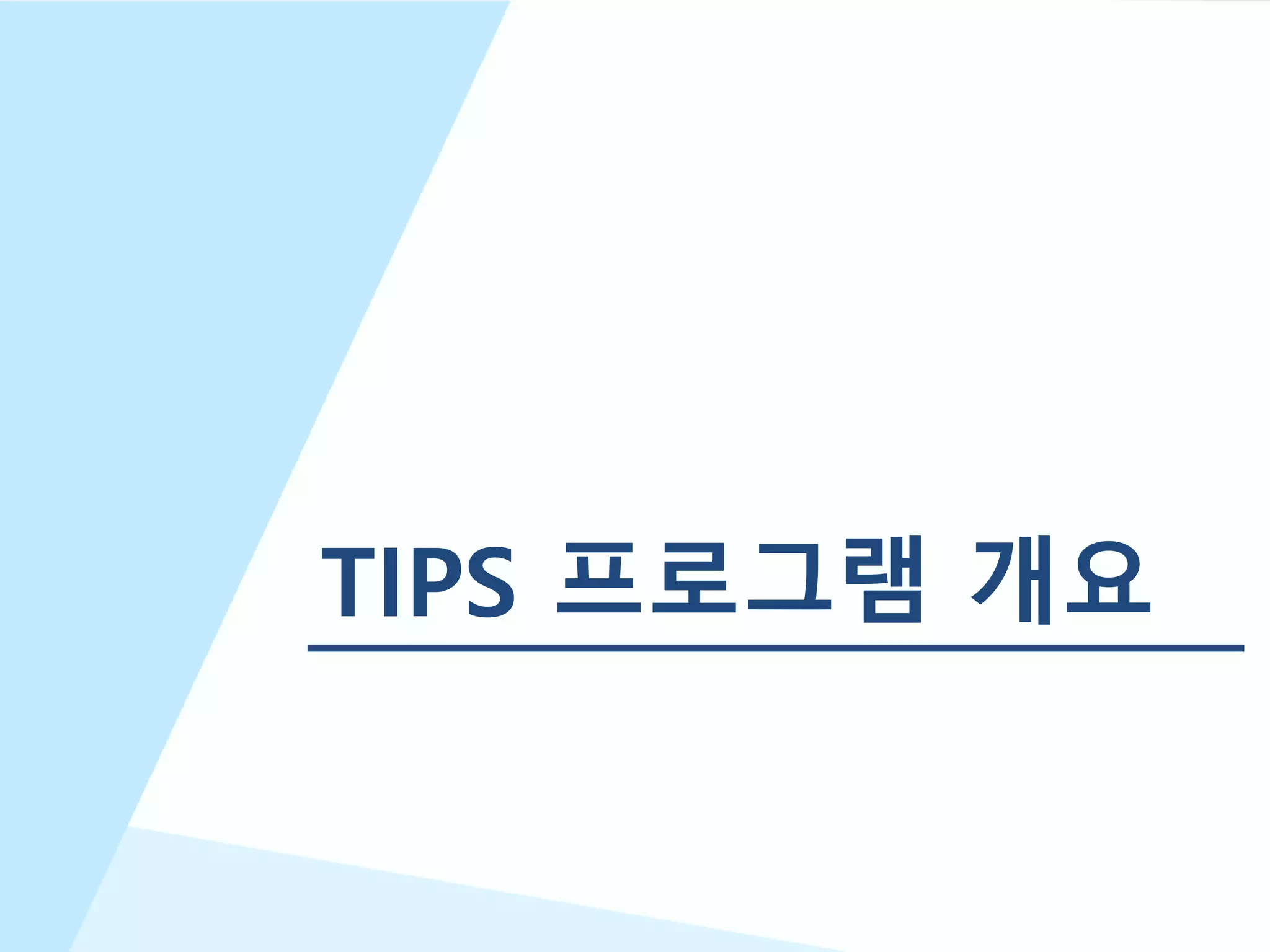 12
TIPS 프로그램 개요
 