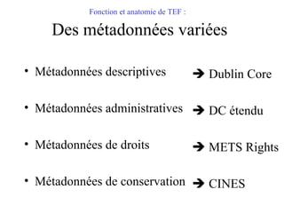 Fonction et anatomie de TEF :   Des métadonnées variées <ul><li>Métadonnées descriptives </li></ul><ul><li>Métadonnées adm...