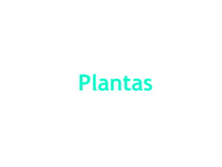 Plantas
 