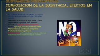 • ALTERADORES DEL HUMOR: alucinógenos
naturales; MARIHUANA Y LOS DERIVADOS DEL
HACHIS.
• Se presenta en picaduras de hojas, tallos, y flores.
• Se consume por cigarrillos, pipas, alimentos.
• SINTOMAS: relajación, alegría, tranquilidad.
• Efectos: ojos rojos, boca seca, lentitud al hablar.
• Alteraciones en la coordinación del equilibrio.
• Trastornos de memoria y atención.
• Efectos crónicos: enfermedades pulmonares, trastornos
hormonales, alteraciones motoras y del equilibrio.
 