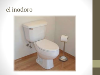 el inodoro
 