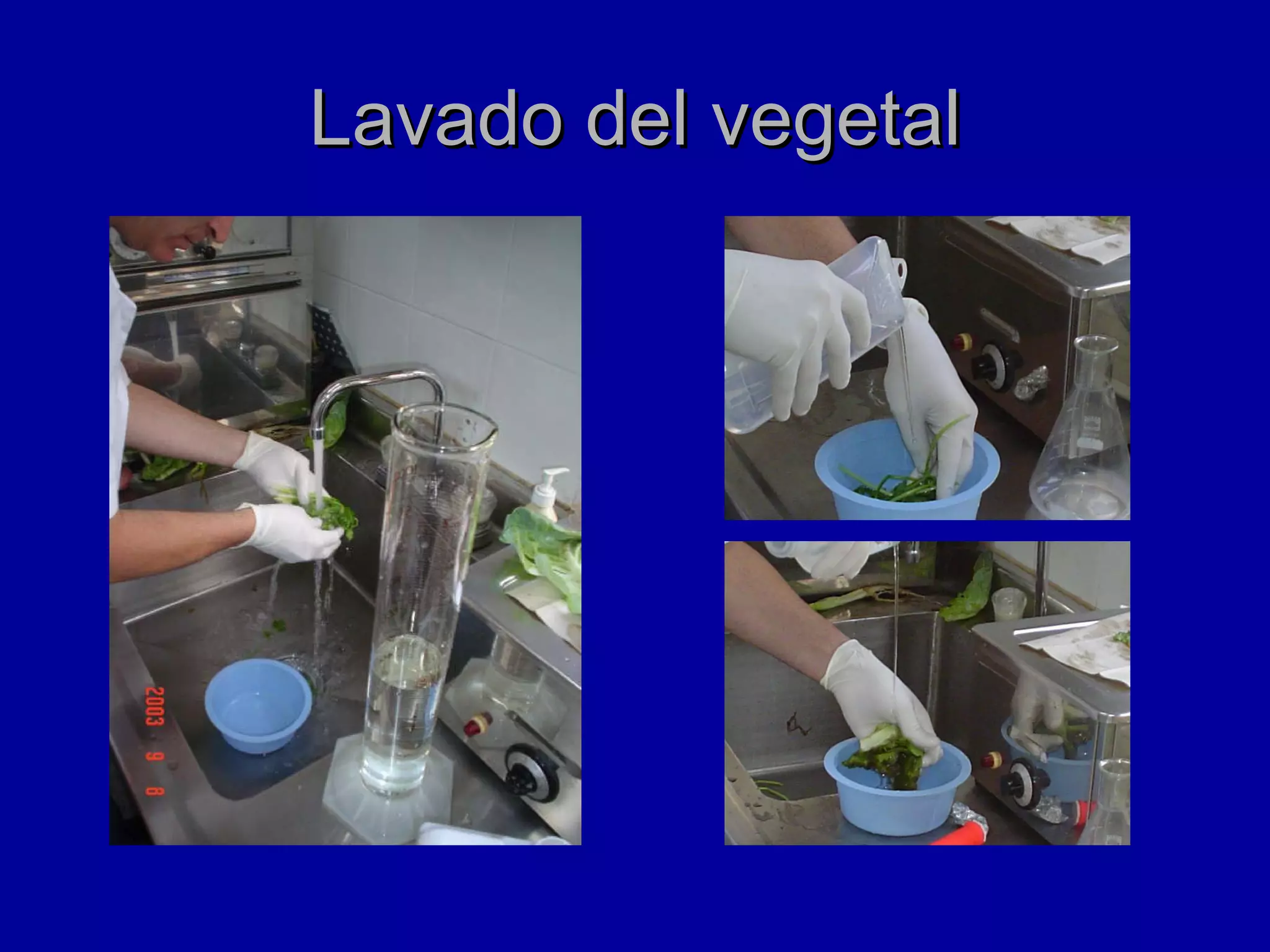 Lavado del vegetal 