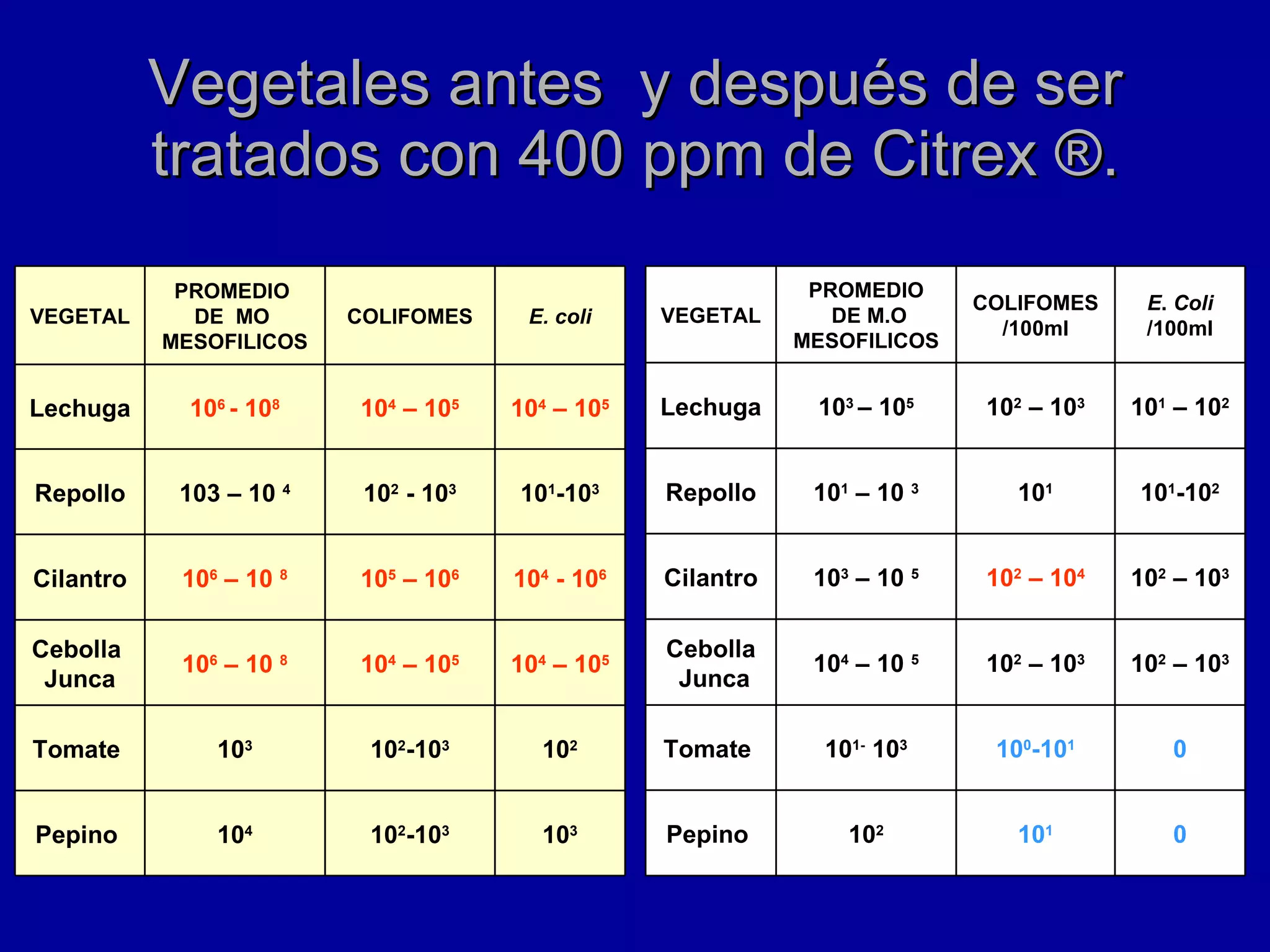 Vegetales antes  y después de ser tratados con 400 ppm de Citrex ®. 10 3 10 2 -10 3 10 4 Pepino  10 2 10 2 -10 3 10 3 Tomate  10 4  – 10 5 10 4  – 10 5 10 6  – 10  8 Cebolla  Junca 10 4  - 10 6 10 5  – 10 6 10 6  – 10  8 Cilantro 10 1 -10 3 10 2  - 10 3 103 – 10  4 Repollo 10 4  – 10 5 10 4  – 10 5 10 6  - 10 8 Lechuga E. coli COLIFOMES PROMEDIO  DE  MO  MESOFILICOS VEGETAL 0 10 1 10 2 Pepino  0 10 0 -10 1 10 1-  10 3 Tomate  10 2  – 10 3 10 2  – 10 3 10 4  – 10  5 Cebolla Junca 10 2  – 10 3 10 2  – 10 4 10 3  – 10  5 Cilantro 10 1 -10 2 10 1 10 1  – 10  3 Repollo 10 1  – 10 2 10 2  – 10 3 10 3  – 10 5 Lechuga E .  Coli /100ml COLIFOMES /100ml PROMEDIO DE M.O MESOFILICOS VEGETAL 