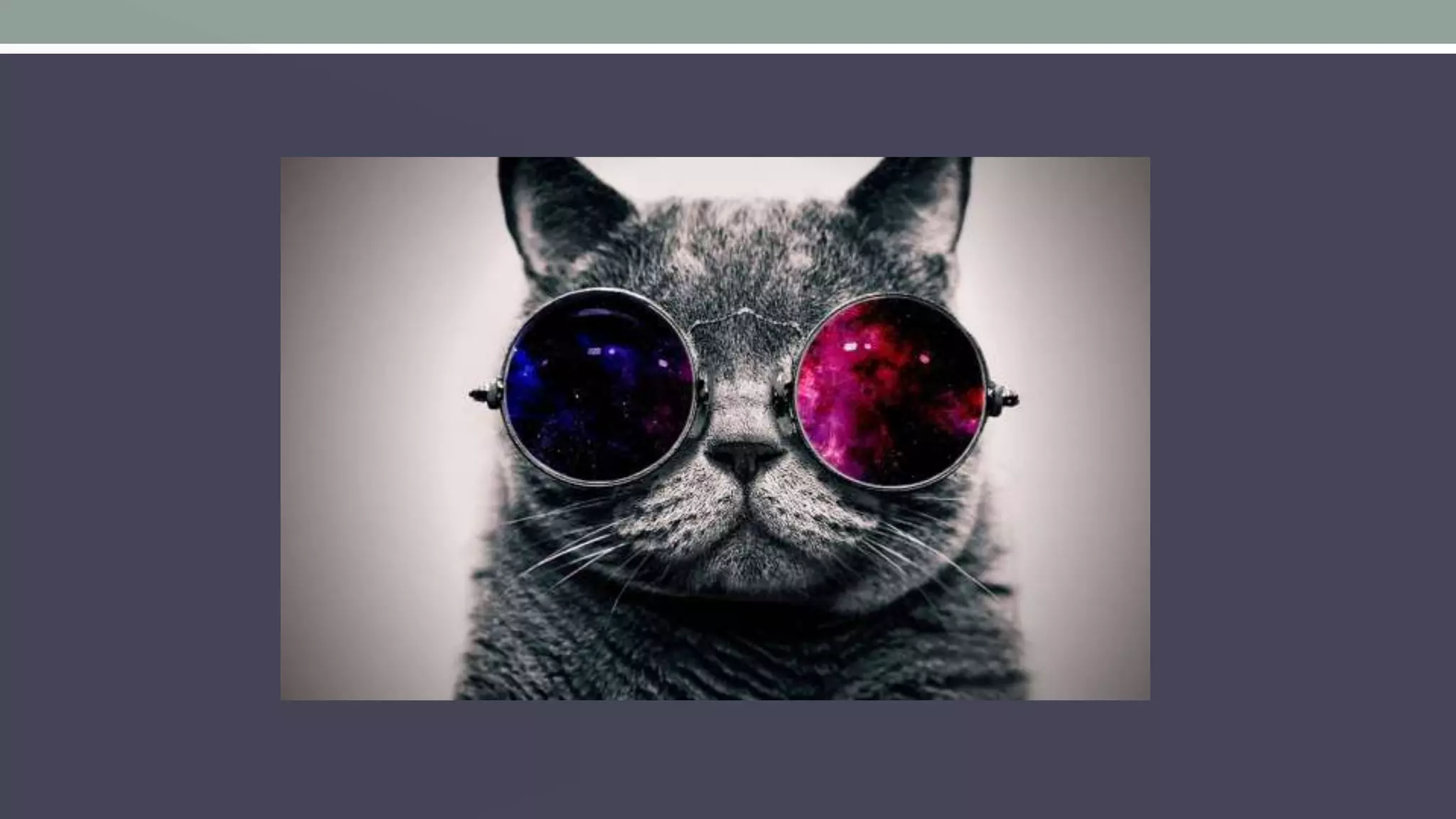 SPA avec Angular et SignalR (FR)