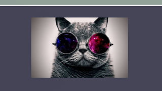 SPA avec Angular et SignalR (FR)