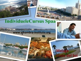 Individuele Cursus Spaans Malaga  Costa del Sol www.alhambra-instituto.org 