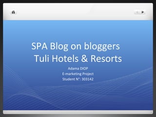 SPA Blog on bloggers
 Tuli Hotels & Resorts
          Adama DIOP
       E-marketing Project
       Student N°: 303142
 