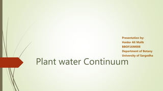 Plant water Continuum
Presentation by:
Haider Ali Malik
BBOF16M008
Department of Botany
University of Sargodha
 
