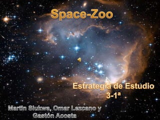 Space-Zoo Estrategia de Estudio 3-1ª Martin Slukwa, Omar Lezcano y Gastón Acosta 