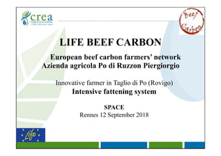 LIFE BEEF CARBON
Azienda agricola Po di Ruzzon Piergiorgio
Innovative farmer in Taglio di Po (Rovigo)
Intensive fattening system
SPACE
Rennes 12 September 2018
European beef carbon farmers’ network
 