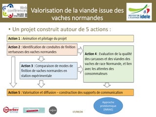 Valorisation de la viande issue des
vaches normandes
• Un projet construit autour de 5 actions :
17/09/20
Approche
protéomique
(INRAE)
 