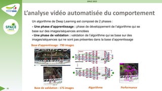 SPACE 2023
30
L’analyse vidéo automatisée du comportement
Un algorithme de Deep Learning est composé de 2 phases :
- Une phase d’apprentissage : phase de développement de l’algorithme qui se
base sur des images/séquences annotées
- Une phase de validation : validation de l’algorithme qui se base sur des
images/séquences qui ne sont pas présentes dans la base d’apprentissage
Base d’apprentissage : 790 images
Base de validation : 175 images Algorithme Performance
 
