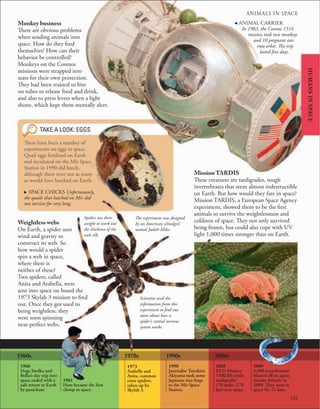 ANIMALS IN SPACE
101
TAKE A LOOK: EGGS
. SPACE CHICKS Unfortunately,
the quails that hatched on Mir did
not survive for very long.
There have been a number of
experiments on eggs in space.
Quail eggs fertilized on Earth
and incubated on the Mir Space
Station in 1990 did hatch,
although there were not as many
as would have hatched on Earth.
1960s 1990s
1960
Dogs Strelka and
Belka’s day trip into
space ended with a
safe return to Earth
by parachute.
1961
Ham became the ﬁrst
chimp in space.
1970s
1973
Arabella and
Anita, common
cross spiders,
taken up by
Skylab 3.
2000s
1990
Journalist Toyohiro
Akiyama took some
Japanese tree frogs
to the Mir Space
Station.
2008
ESA’s Mission
TARDIS sends
tardigrades
170 miles (270
km) into space.
2009
4,000 roundworms
blasted oﬀ on space
shuttle Atlantis in
2009. They were in
space for 11 days.
HUMANS
IN
SPACE
Monkey business
There are obvious problems
when sending animals into
space. How do they feed
themselves? How can their
behavior be controlled?
Monkeys on the Cosmos
missions were strapped into
seats for their own protection.
They had been trained to bite
on tubes to release food and drink,
and also to press levers when a light
shone, which kept them mentally alert.
Weightless webs
On Earth, a spider uses
wind and gravity to
construct its web. So
how would a spider
spin a web in space,
where there is
neither of these?
Two spiders, called
Anita and Arabella, were
sent into space on board the
1973 Skylab 3 mission to find
out. Once they got used to
being weightless, they
were soon spinning
near-perfect webs.
Scientists used the
information from this
experiment to find out
more about how a
spider’s central nervous
system works.
Mission TARDIS
These creatures are tardigrades, tough
invertebrates that seem almost indestructible
on Earth. But how would they fare in space?
Mission TARDIS, a European Space Agency
experiment, showed them to be the first
animals to survive the weightlessness and
coldness of space. They not only survived
being frozen, but could also cope with UV
light 1,000 times stronger than on Earth.
Spiders use their
weight to work out
the thickness of the
web silk.
The experiment was designed
by an American schoolgirl
named Judith Miles.
, ANIMAL CARRIER
In 1983, the Cosmos 1514
mission took two monkeys
and 10 pregnant rats
into orbit. The trip
lasted five days.
 