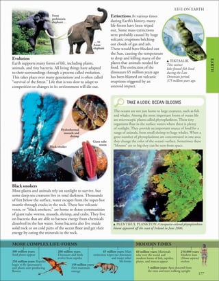 LIFE ON EARTH
177
MORE COMPLEX LIFE-FORMS
Extinctions At various times
during Earth’s history, many
life-forms have been wiped
out. Some mass extinctions
were probably caused by huge
volcanic eruptions belching
out clouds of gas and ash.
These would have blocked out
the Sun, causing the temperature
to drop and killing many of the
plants that animals needed for
food. The extinction of the
dinosaurs 65 million years ago
has been blamed on volcanic
eruptions triggered by an
asteroid impact.
Black smokers
Most plants and animals rely on sunlight to survive, but
some deep-sea creatures live in total darkness. Thousands
of feet below the surface, water escapes from the super-hot
mantle through cracks in the rock. These hot volcanic
vents, or “black smokers,” are home to dense communities
of giant tube worms, mussels, shrimp, and crabs. They live
on bacteria that are able to harness energy from chemicals
dissolved in the hot water. Some bacteria also live inside
solid rock or on cold parts of the ocean floor and get their
energy by eating the minerals in the rock.
MODERN TIMES
EARTH
TAKE A LOOK: OCEAN BLOOMS
The oceans are not just home to large creatures, such as fish
and whales. Among the most important forms of ocean life
are microscopic plants called phytoplankton. These tiny
organisms float in the surface waters where there is plenty
of sunlight. They provide an important source of food for a
range of animals, from small shrimp to huge whales. When a
great number of phytoplankton are concentrated in one area,
they change the color of the ocean’s surface. Sometimes these
“blooms” are so big they can be seen from space.
Evolution
Earth supports many forms of life, including plants,
animals, and tiny bacteria. All living things have adapted
to their surroundings through a process called evolution.
This takes place over many generations and is often called
“survival of the fittest.” Life that is too slow to adapt to
competition or changes in its environment will die out.
u TIKTAALIK
This extinct
lobe-finned fish lived
during the Late
Devonian period,
375 million years ago.
From
prehistoric
elephant…
… to
Asian
elephant
u PLENTIFUL PLANKTON A turquoise-colored phytoplankton
bloom appeared off the coast of Ireland in June 2006.
Hydrothermal
mussels and
shrimp
Giant tube
worm
Black smoker
60 million years: Mammals
take over the world and
modern forms of fish, reptiles,
plants, and insects appear
5 million years: Apes descend from
the trees and start walking upright
250,000 years:
Modern man
(Homo sapiens)
evolves
300 million years:
Seed plants appear
250 million years: Reptiles
begin to fly (pterosaurs)
and plants start producing
flowers
200 million years:
Dinosaurs and birds
evolve from reptiles
150 million years:
First mammals
emerge
65 million years: Mass
extinction wipes out dinosaurs
and many other
life-forms
LIFE ON EARTH
 