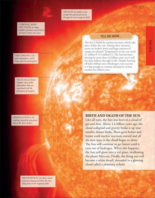 197
THE SUN
THE
SUN
CORONAL MASS
EJECTIONS are huge
bubbles of plasma ejected from
the Sun’s corona into space.
THE CORONA is the
outer atmosphere, much
hotter than the photosphere.
GRANULATION is the
mottling caused by convection
cells at the Sun’s surface.
FACULAE are hotter,
brighter areas of the
photosphere that are
associated with the
formation of sunspots.
PROMINENCES are dense clouds
of plasma looping out from the Sun
along lines in the magnetic field.
SPICULES are spikes or jets
of superhot plasma forced up
through the Sun’s magnetic field.
BIRTH AND DEATH OF THE SUN
Like all stars, the Sun was born in a cloud of
gas and dust. About 4.6 billion years ago, the
cloud collapsed and gravity broke it up into
smaller, denser blobs. These grew hotter and
hotter until nuclear reactions started and all
the new stars in the cloud began to shine.
The Sun will continue to get hotter until it
runs out of hydrogen. When this happens,
the Sun will grow into a red giant, swallowing
the planet Mercury. Finally, the dying star will
become a white dwarf, shrouded in a glowing
cloud called a planetary nebula.
TELL ME MORE...
The Sun is fueled by nuclear reactions, which take
place within the core. During these reactions,
atoms are broken down and huge amounts of
energy are released. Temperatures in the core reach
27 million°F (15 million°C). The Sun has been
shining for more than 4.6 billion years, yet is still
less than halfway through its life. Despite burning
off half a billion tons of hydrogen every second,
it is big enough to continue shining for at least
another five billion years.
 