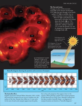 207
THE SOLAR CYCLE
The butterfly effect
English astronomer Edward Walter Maunder (1851–1928)
discovered that sunspots do not occur at random over the
surface of the Sun. Instead, they follow an 11-year cycle.
At the start of each cycle sunspots appear near the poles,
but as the cycle progresses they appear closer to the
equator. When plotting a graph of the sunspot positions
he had observed over many years, Maunder realized that
the data revealed a butterfly shape—so diagrams of
sunspot locations are known as “butterfly diagrams.”
1994
1995
1996
1997
1998
1999
THE
SUN
1870 1880 1890 1900 1910 1920 1930 1940 1950 1960 1970 1980 1990 2000
Year
Butterﬂy diagram showing the position and occurrence of sunspots
The Sun and ozone
Changes in solar activity are most
noticeable in the amount of ultraviolet
(UV) light that gets through to the Earth’s
surface. UV light is invisible, but we
notice it because it causes sunburn.
Most UV light is absorbed by the
ozone layer 6–30 miles (10–50 km)
above the Earth ( p. 174).
Solar storms can destroy ozone
molecules, making it easier for
UV to reach the ground. UV can
be dangerous to organisms because
it damages body cells.
UV-B (shortwave UV)
causes sunburn and can
trigger skin cancer.
UV-A (longwave UV) can also
cause sunburn. It penetrates
Earth’s atmosphere more easily
than UV-B, but is less intense.
Ozone
hole
. ULTRAVIOLET LIGHT
Although UV light can be
dangerous to life on Earth, it
can also be very useful. It helps
us make vitamin D, which we
need to make strong bones,
and helps plants to grow, too.
OZONE LAYER
SUN
North
pole
Equator
South
pole
 