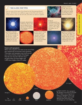 213
WHAT ARE STARS?
Giants and supergiants
When main sequence stars start to run out of fuel
they expand and can become truly enormous.
These giant and supergiant stars swell up and
start to burn helium instead of hydrogen.
One day our own Sun will turn into a
red giant about 30 times bigger and
1,000 times brighter than it is today.
Betelgeuse
Antares
Aldebaran
Rigel
Arcturus
Pollux
Sun (1pixel) Sirius
TAKE A LOOK: STAR TYPES
u WHITE DWARF
This is the final stage in
the life of an average star
like our Sun. A white
dwarf is formed from the
collapsed core of a red
giant and is very dense.
Here are some of the types of star found on the Hertzsprung-Russell
diagram. All of them are at different stages in their life cycle. Some are
young and hot, some are old and cold, and others are about to explode.
u TRUE GIANT Even supergiants
like Betelgeuse and Antares are dwarfed
by VV Cephei, a star so big that it is
known as a hypergiant. It lies in the
constellation Cepheus, about 2,400
light-years from Earth and is the
second-largest star in the Milky Way.
d MAIN SEQUENCE
STAR Stars like our Sun
that lie along the main
sequence on the diagram
burn hydrogen and turn
it into helium.
u NEUTRON STAR
Formed when a red
supergiant explodes, a
neutron star is small,
but extremely dense.
Its iron crust surrounds
a sea of neutrons.
d BLUE
SUPERGIANTS are
the hottest and brightest
“ordinary” stars in the
universe. This is Rigel,
the brightest star in
Orion.
u RED SUPERGIANT
These stars are huge, with
a radius 200 to 800 times
that of the Sun, but their
surface temperature is low,
making them look red or
orange-yellow in color.
, WOLF-RAYET
STAR These are very
hot, massive stars that
are losing mass rapidly
and heading toward a
supernova explosion.
VV Cephei
STARS
AND
STARGAZING
 