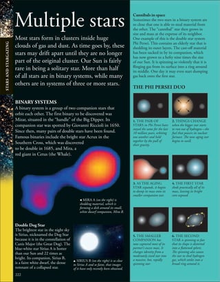222
Multiple stars
Most stars form in clusters inside huge
clouds of gas and dust. As time goes by, these
stars may drift apart until they are no longer
part of the original cluster. Our Sun is fairly
rare in being a solitary star. More than half
of all stars are in binary systems, while many
others are in systems of three or more stars.
BINARY SYSTEMS
A binary system is a group of two companion stars that
orbit each other. The first binary to be discovered was
Mizar, situated in the “handle” of the Big Dipper. Its
companion star was spotted by Giovanni Riccioli in 1650.
Since then, many pairs of double stars have been found.
Famous binaries include the bright star Acrux in the
Southern Cross, which was discovered
to be double in 1685, and Mira, a
red giant in Cetus (the Whale).
Double Dog Star
The brightest star in the night sky
is Sirius, nicknamed the Dog Star
because it is in the constellation of
Canis Major (the Great Dog). The
blue-white star Sirius A is hotter
than our Sun and 22 times as
bright. Its companion, Sirius B,
is a faint white dwarf, the dense
remnant of a collapsed star.
, MIRA A (on the right) is
shedding material, which is
forming a disk around its small,
white dwarf companion, Mira B.
1. THE PAIR OF
STARS in Phi Persei have
stayed the same for the last
10 million years, orbiting
one another and held
together by the pull of
their gravity.
3. AS THE AGING
STAR expands, it begins
to dump its mass onto its
smaller companion star.
5. THE SMALLER
COMPANION has
now captured most of its
partner’s excess mass. It
changes identity from a
moderately sized star into
a massive, hot, rapidly
spinning star.
2. THINGS CHANGE
when the bigger star starts
to run out of hydrogen—the
fuel that powers its nuclear
furnace. The now aging star
begins to swell.
4. THE FIRST STAR
sheds practically all of its
mass, leaving its bright
core exposed.
6. THE SECOND
STAR is spinning so fast
that its shape is distorted
into a flattened sphere.
The spinning also causes
the star to shed hydrogen
gas, which settles into a
broad ring around it.
u SIRIUS B (on the right) is so close
to Sirius A and so faint, that images
of it have only recently been obtained.
Cannibals in space
Sometimes the two stars in a binary system are
so close that one is able to steal material from
the other. The “cannibal” star then grows in
size and mass at the expense of its neighbor.
One example of this is the double star system
Phi Persei. This contains an elderly star that is
shedding its outer layers. The cast-off material
has been sucked in by its companion, which
has now grown to a hefty nine times the size
of our Sun. It is spinning so violently that it is
flinging gas from its surface into a ring around
its middle. One day it may even start dumping
gas back onto the first star.
THE PHI PERSEI DUO
STARS
AND
STARGAZING
 