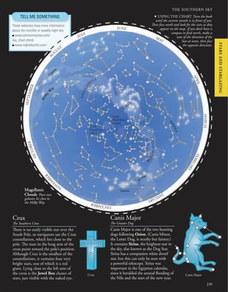 THE SOUTHERN SKY
239
JULY
JUNE
MAY
A
P
R
I
L
M
A
R
C
H
F
E
B
R
U
A
R
Y
J
A
N
U
A
R
Y
D
E
C
E
M
B
E
R
N
O
V
E
M
B
E
R
O
C
T
O
B
E
R
S
E
P
T
E
M
B
E
R
A
U
G
UST
M
i
l
k
y
W
ay
Cygnus
S
A
G
I
T
T
A
RIUS
CRUX
C
A
N
I
S
M
A
J
O
R
H
Y
D
R
A
O
rion
Taurus
Large
Magellanic
Cloud
Small
Magellanic
Cloud
Magellanic
Clouds These two
galaxies lie close to
the Milky Way.
TELL ME SOMETHING
These websites have more information
about the monthly or weekly night sky:
■ www.astronomynow.com/
sky_chart.shtml
■ www.nightskyinfo.com/
There is no easily visible star over the
South Pole, so navigators use the Crux
constellation, which lies close to the
pole. The stars in the long arm of the
cross point toward the pole’s position.
Although Crux is the smallest of the
constellations, it contains four very
bright stars, one of which is a red
giant. Lying close to the left arm of
the cross is the Jewel Box cluster of
stars, just visible with the naked eye.
Crux
The Southern Cross
Canis Major is one of the two hunting
dogs following Orion. (Canis Minor,
the Lesser Dog, is nearby but fainter.)
It contains Sirius, the brightest star in
the sky, also known as the Dog Star.
Sirius has a companion white dwarf
star, but this can only be seen with
a powerful telescope. Sirius was
important in the Egyptian calendar,
since it heralded the annual flooding of
the Nile and the start of the new year.
Canis Major
The Greater Dog
Crux Canis Major
d USING THE CHART Turn the book
until the current month is in front of you.
Then face north and look for the stars as they
appear on the map. If you don’t have a
compass to find north, make a
note of the direction of the
Sun at noon, then face
the opposite direction.
STARS
AND
STARGAZING
 