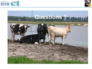 Q uestions  ? HH…VV… HV … VH 