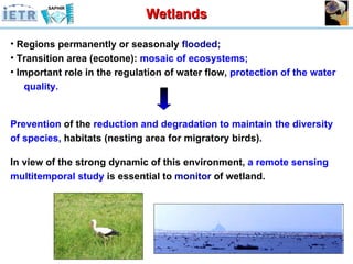 Regions permanently or seasonaly  flooded; Transition area (ecotone):  mosaic of ecosystems; Important role in the regulation of water flow,  protection of the water  quality. Prevention  of the  reduction and degradation to maintain the diversity of species ,  habitats (nesting area for migratory birds). In view of the strong dynamic of this environment,  a remote sensing multitemporal study  is essential to  monitor  of wetland. Wetlands 