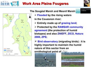 The Sougéal Marsh and Mesnil Marsh: Flooded  by the rising waters in the Couesnon river; Entirely made up of  grazing   land ; Protected by the  RAMSAR   community   agreement  (the protection of humid biotopes) and also  ZNIEFF ,  ZICO ,  Natura   2000 ,  ZPS ; Bird   observatory  (migrating birds) : it is highly important to maintain the humid nature of this sector from an ornithological point of view . Work Area Pleine Fougeres 