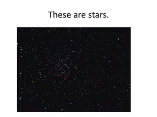 These are stars.
 