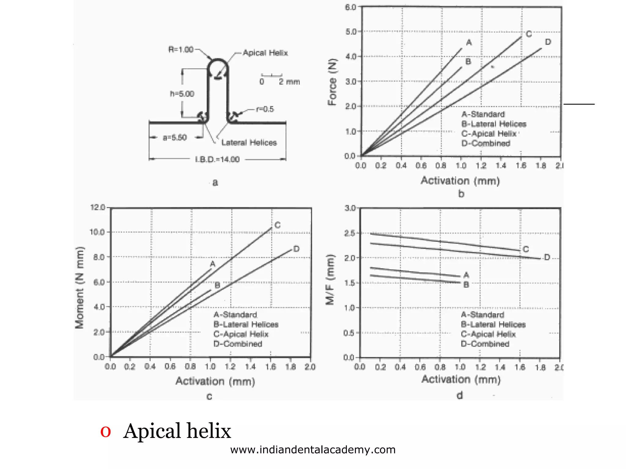 o Apical helix
www.indiandentalacademy.com

 