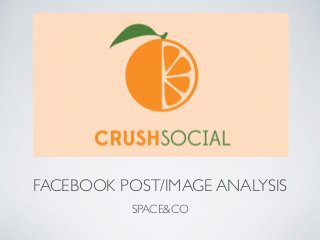 FACEBOOK POST/IMAGE ANALYSIS 
SPACE&CO 
 