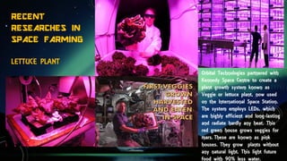 RECENT
RESEARCHES IN
SPACE FARMING
LETTUCE PLANT
Orbital Technologies partnered with
Kennedy Space Centre to create a
plant growth system known as
Veggie or lettuce plant, now used
on the International Space Station.
The system employs LEDs, which
are highly efficient and long-lasting
and radiate hardly any heat. This
red green house grows veggies for
mars. These are known as pink
houses. They grow plants without
any natural light. This light future
food with 90% less water.
 