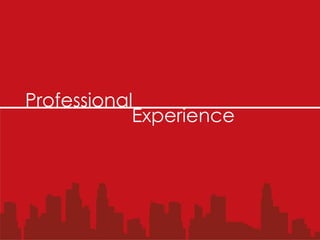 Professional
            Experience
 