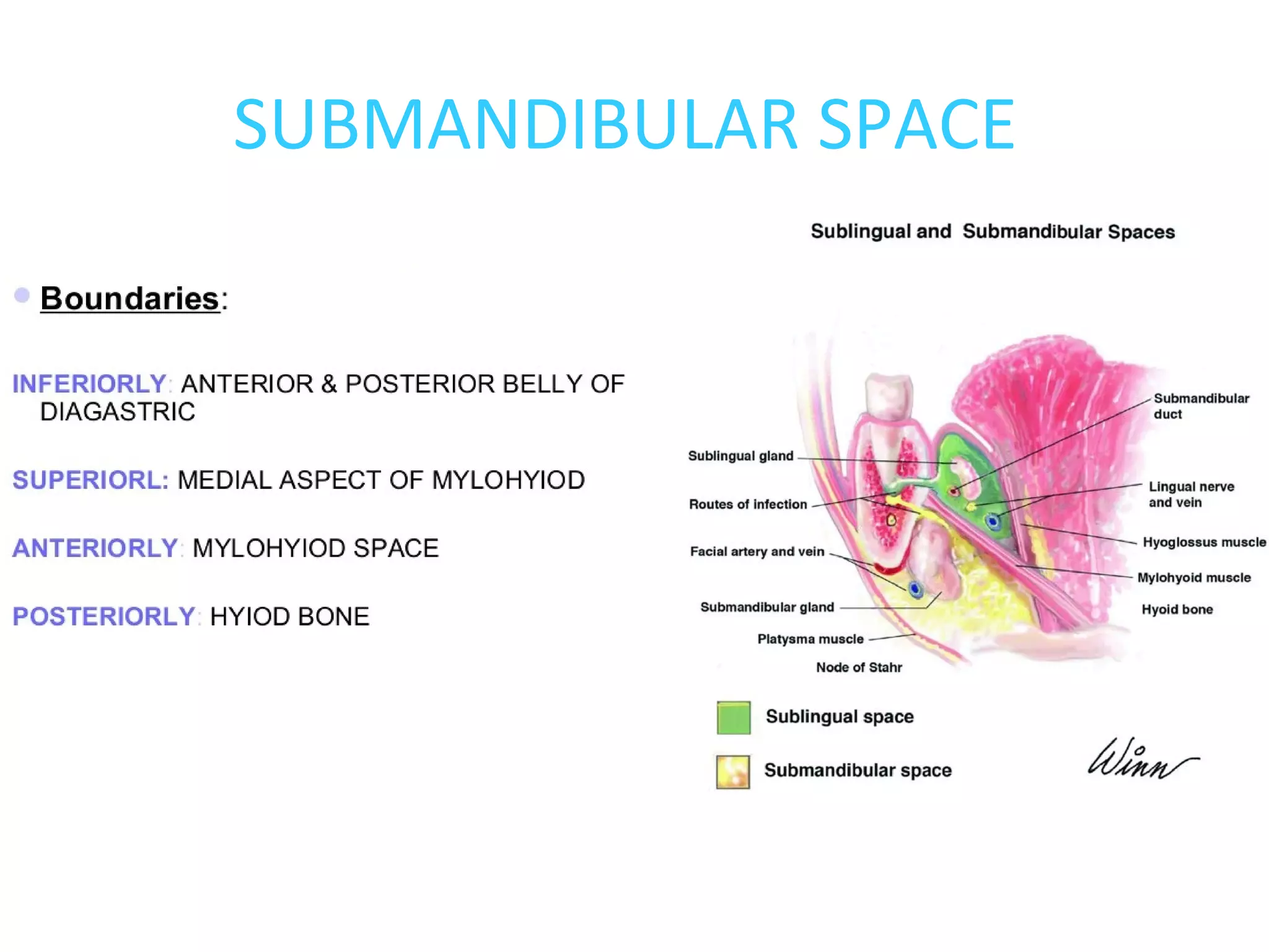 Space infection | PPT