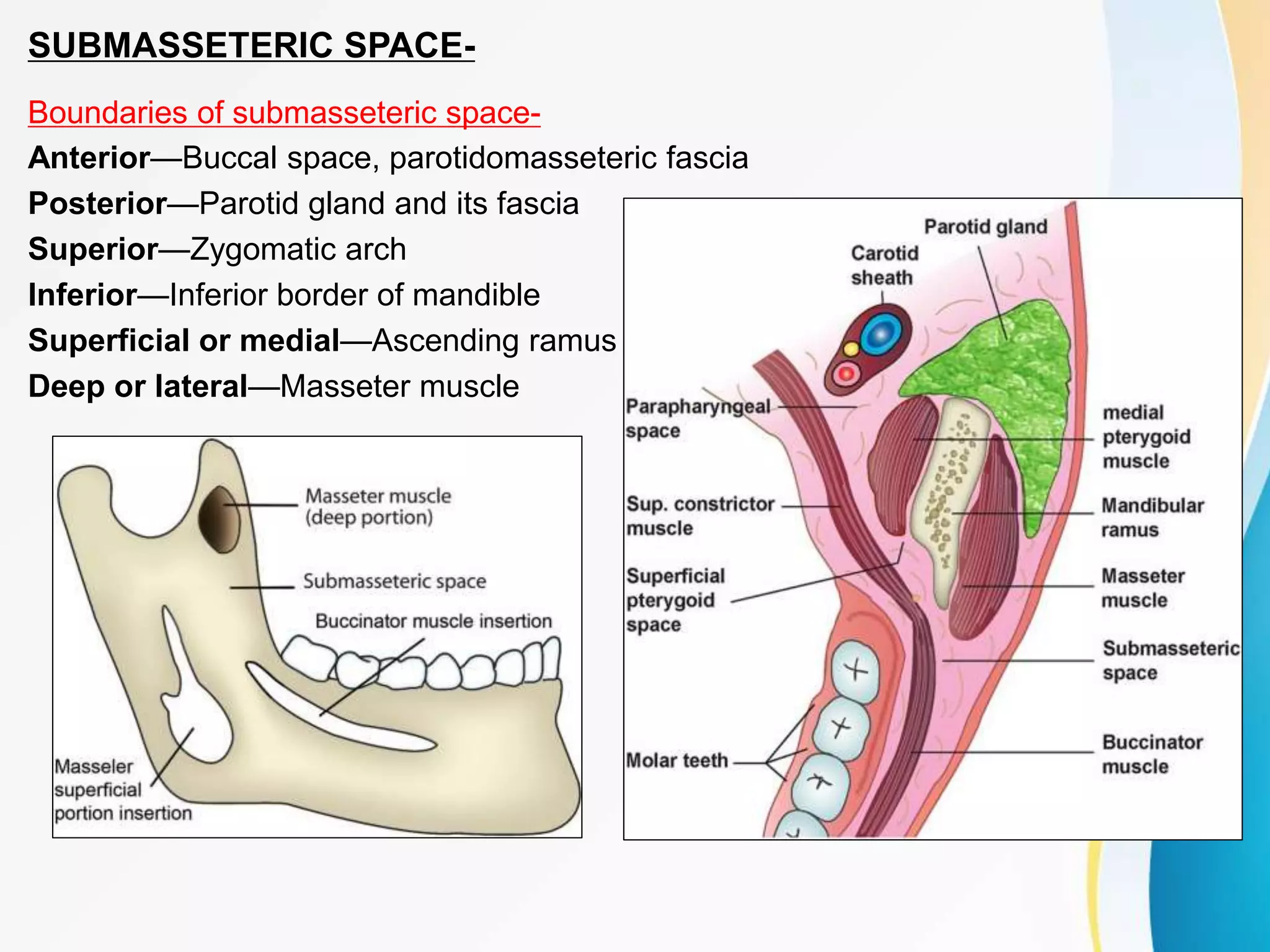 Submasseter Space SPACE INFECTION.pptx
