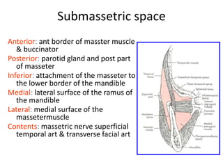 Submasseter Space SPACE INFECTIONS | PPTX