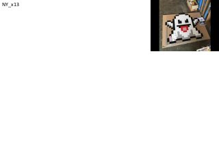 NY_x13