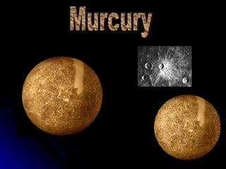 Murcury 