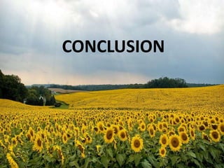 CONCLUSION
 